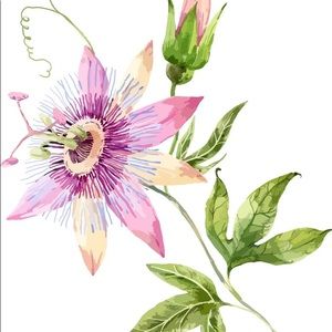 Meet your Posher, Aneba